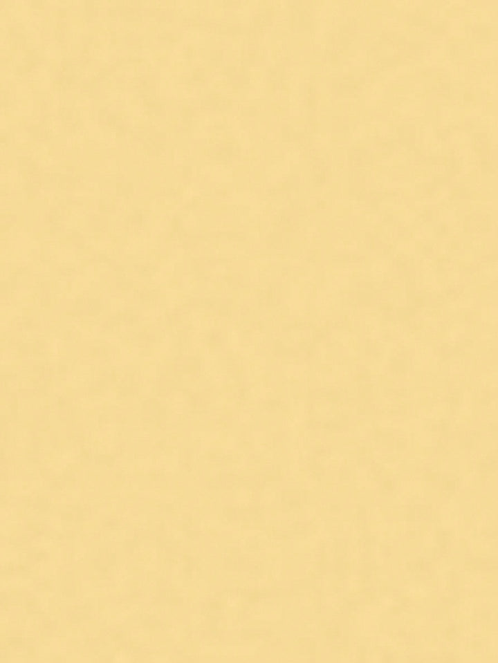 Balerini SHEIN, auriu