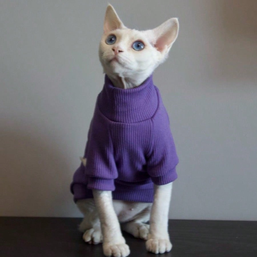 Pijama SHEIN, mov