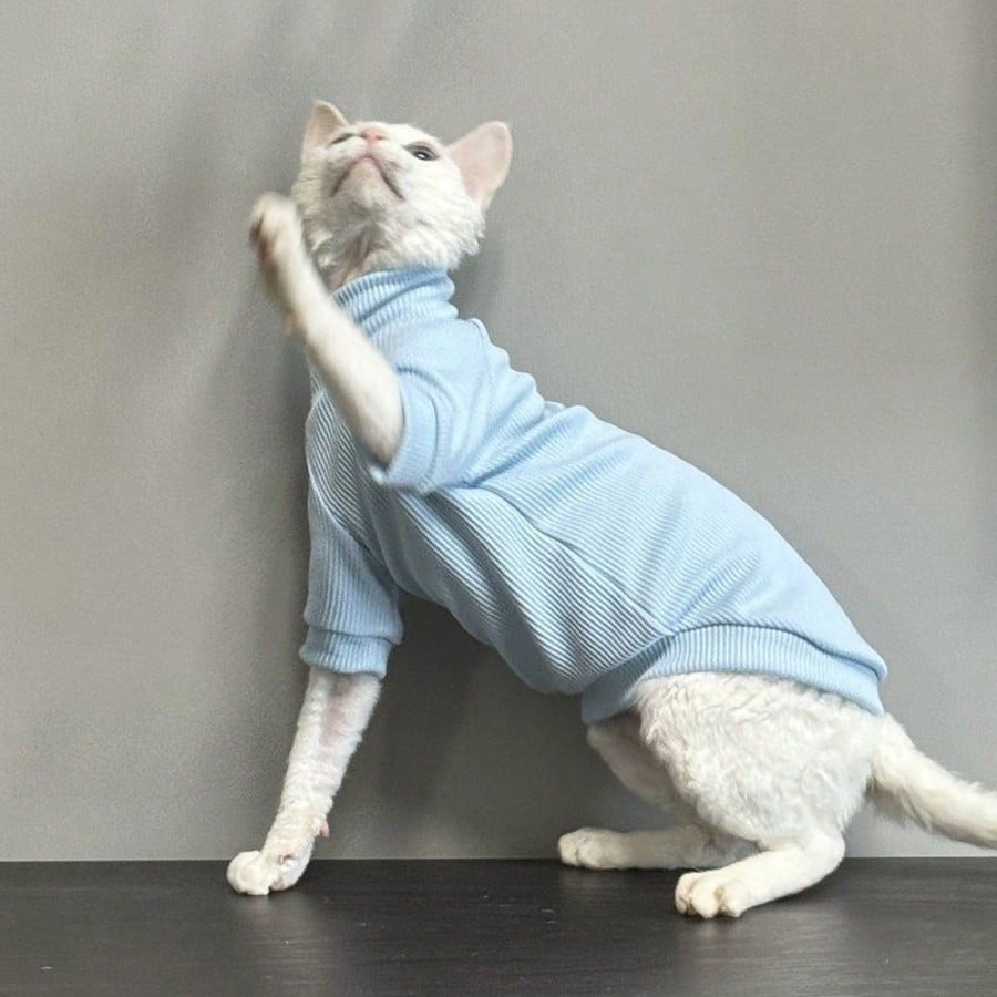 Pijama SHEIN, mov