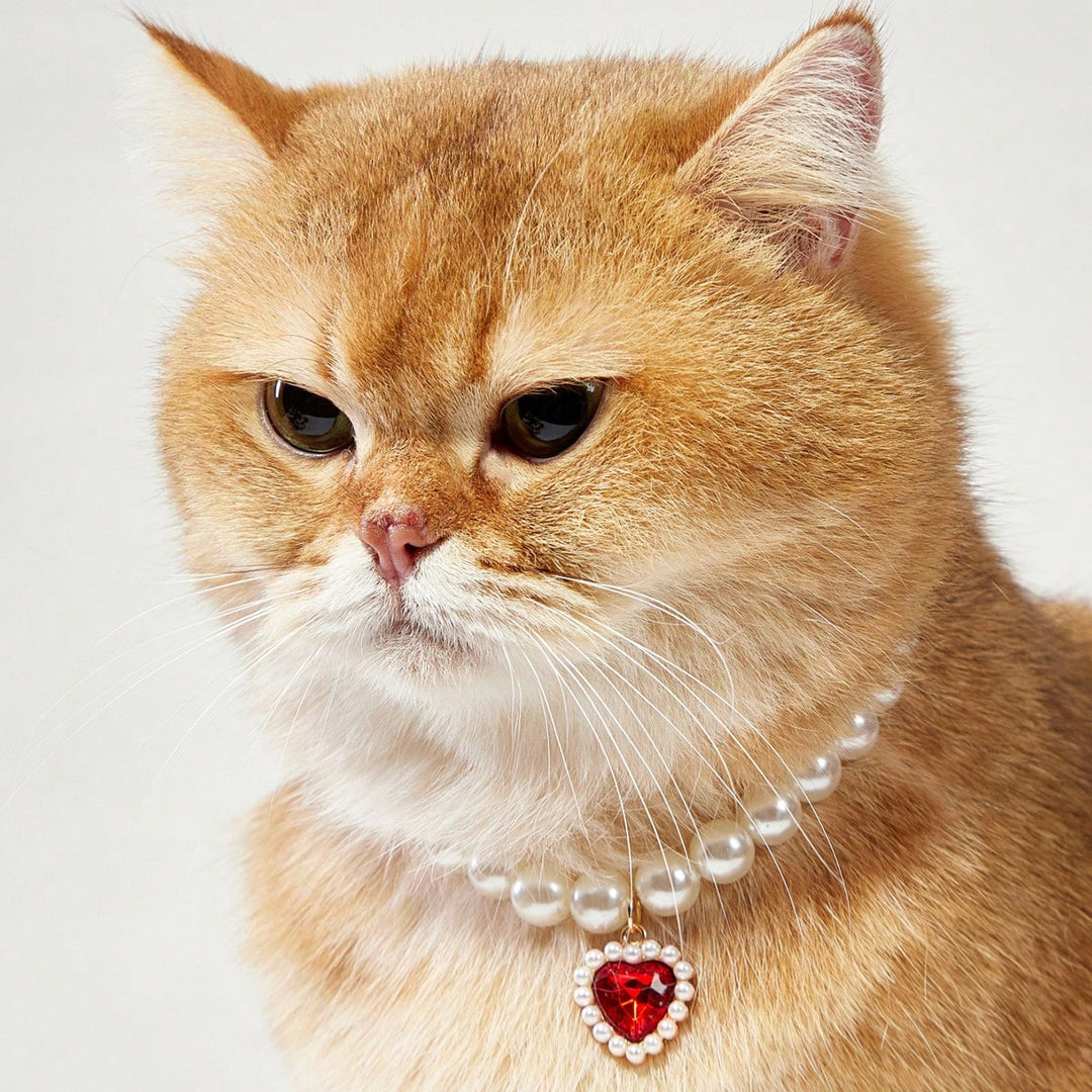 Colier pentru animale SHEIN, mix culori