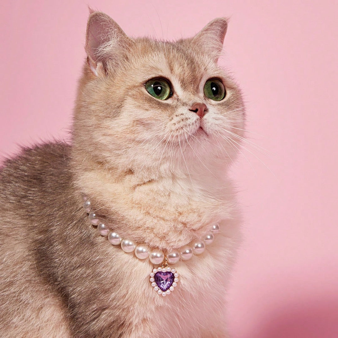 Colier pentru animale SHEIN, mix culori