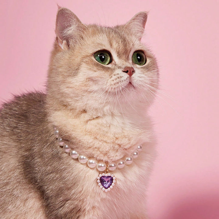 Colier pentru animale SHEIN, mix culori