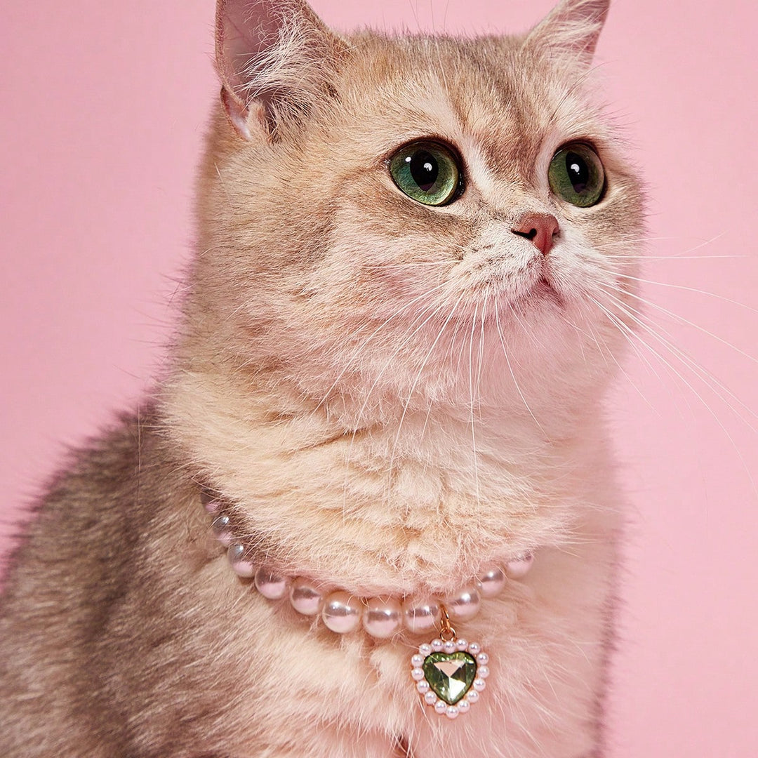 Colier pentru animale SHEIN, mix culori