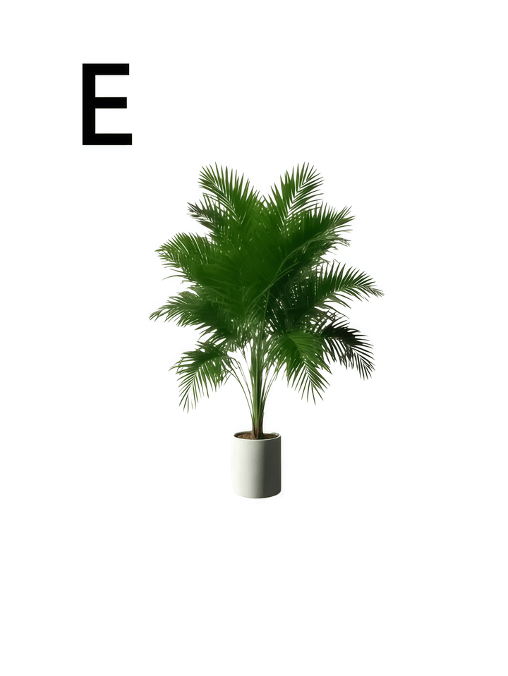 Plante artificiale SHEIN, mix culori