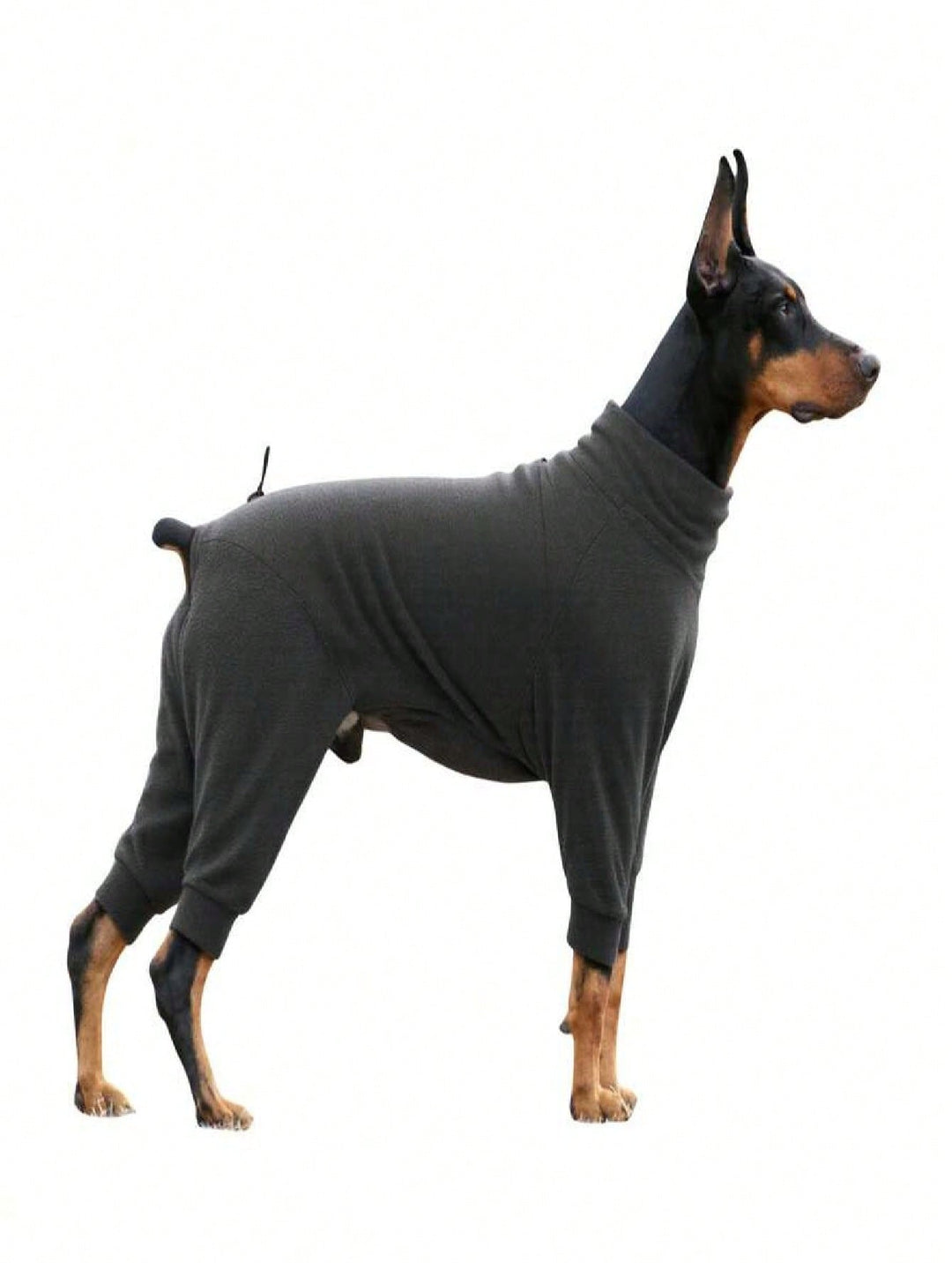SHEIN Kisállatruha, Vegyes színek