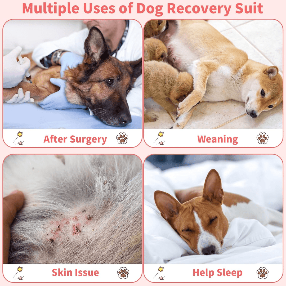 Costum de recuperare pentru animale SHEIN, roz