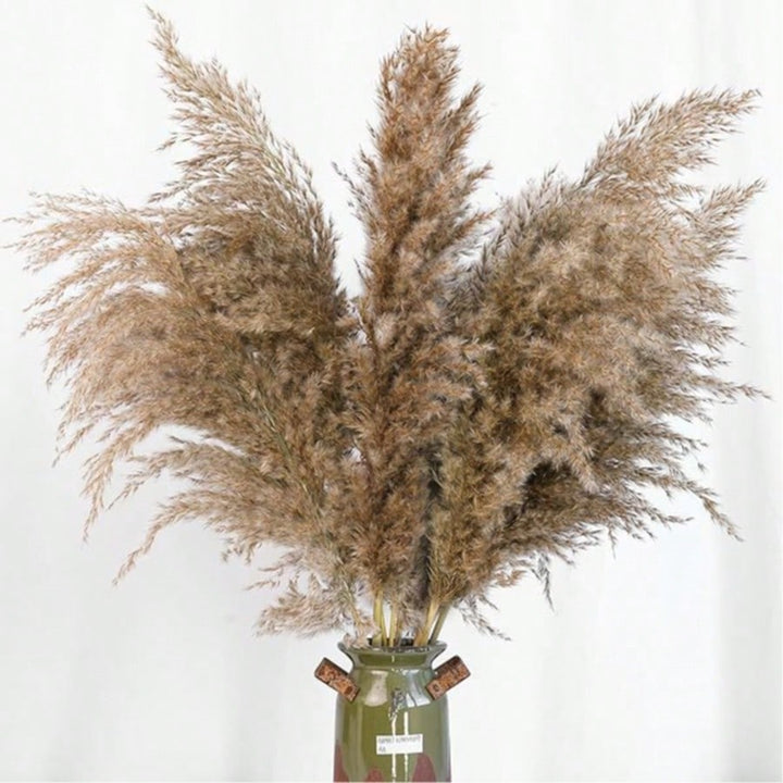 Plante artificiale SHEIN, maro