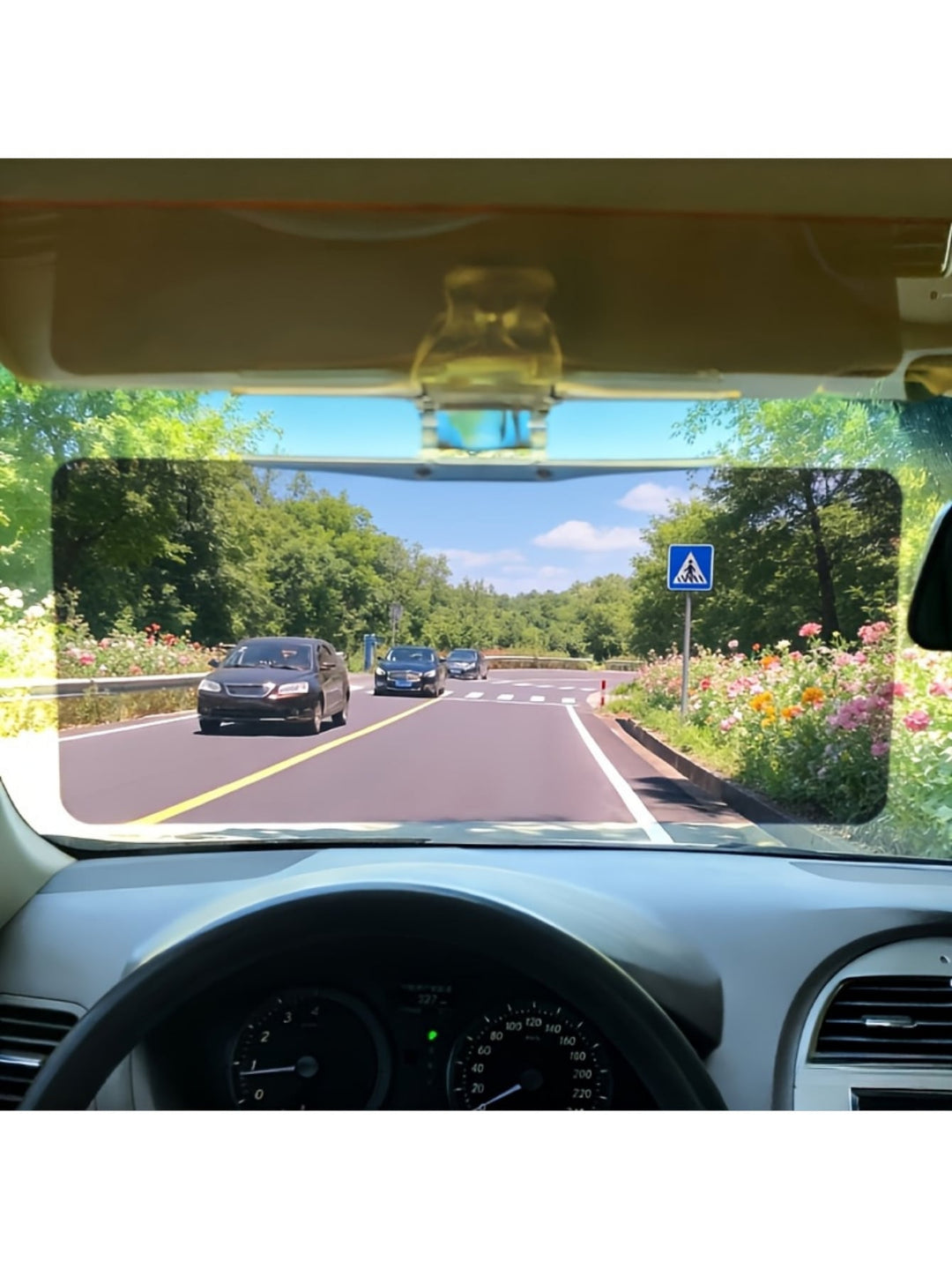 Parasol pentru parbriz auto SHEIN