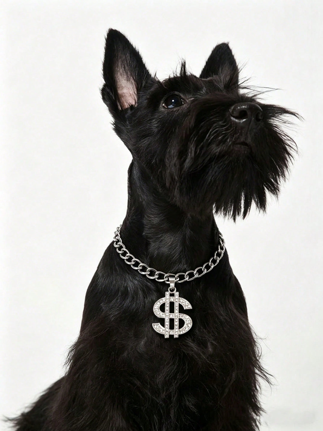 Colier pentru animale SHEIN, mix culori
