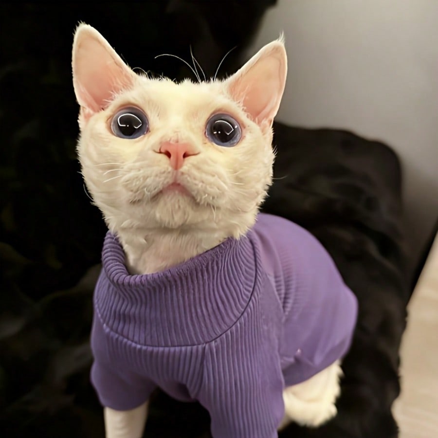 Pijama SHEIN, mov