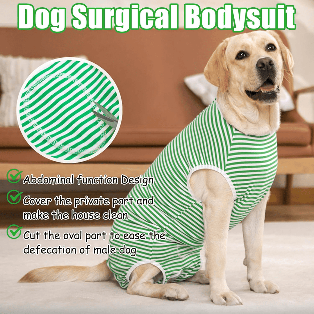 Costum de recuperare pentru animale SHEIN, verde