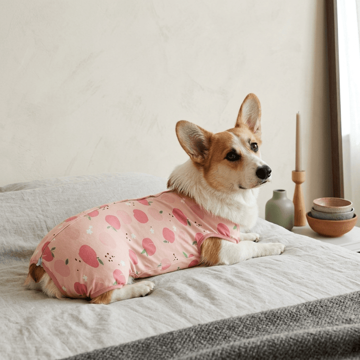 Costum de recuperare pentru animale SHEIN, roz