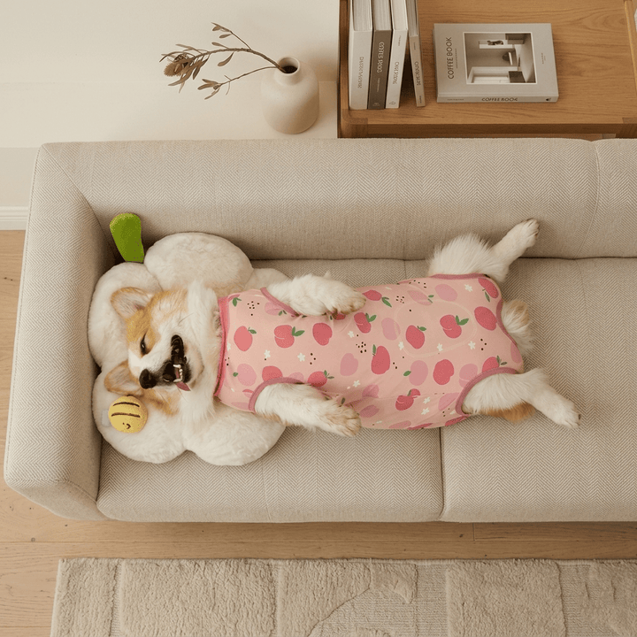 Costum de recuperare pentru animale SHEIN, roz