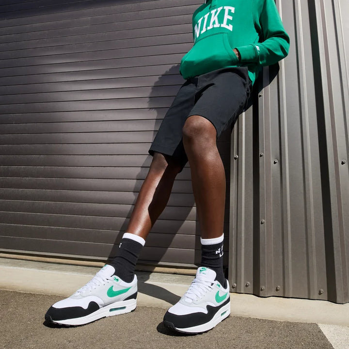 Pantofi sport NIKE AIR MAX 1, mix culori