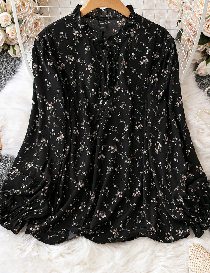 Shein Curve+ ing, fekete