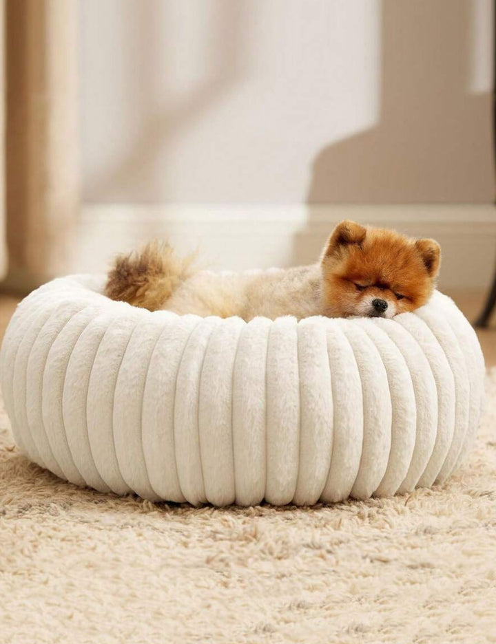 Pat pentru animalul de companie Shein, crem